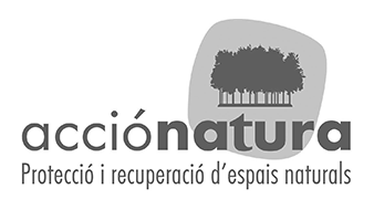Logo_accionatura.png
