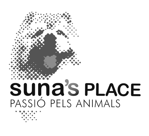 Logo_sunas.png