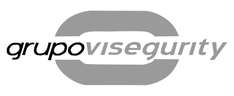Logo_visegurity.png